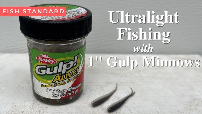 GULP ALIVE 1 inch Minnow = 15 inch CRAPPIE ⁉️ 