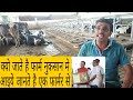 Jayesh Patel Dairy Farm~Jarola Khambat Anand Gujrat