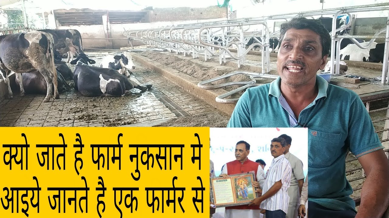 Jayesh Patel Dairy Farm~Jarola Khambat Anand Gujrat