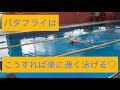 【水泳】【バタフライ】JO、全中、インハイ、インカレで戦ってきた私がバタフライを教えます♡