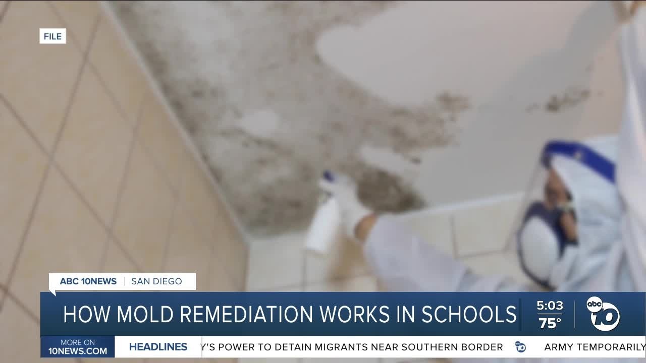 ABC 10News San Diego segment with Chase Bedard of Mold Safe Solutions explaining mold remediation
