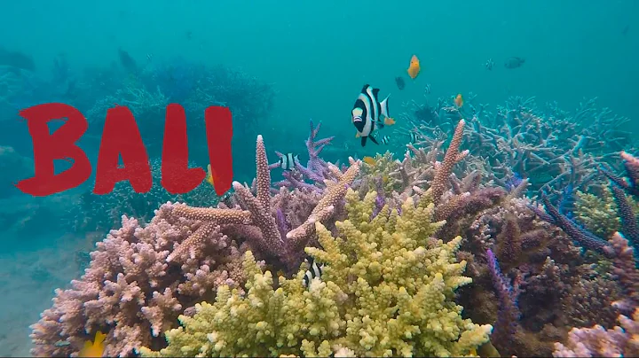 Bali, Gili Islands and Lombok trip