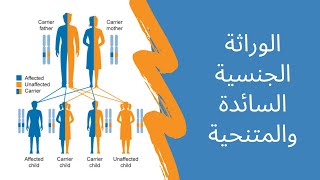 X-Linked Autosomal & Recessive Inheritance - الوراثة الجنسية السائدة والمتنحية