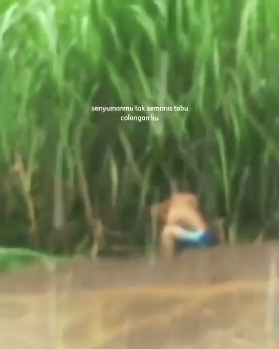 🔴 Story WA Lucu terbaru 2022 #fyp #lucu #ngakak #beranda #youtubeshorts #Tiktok 92