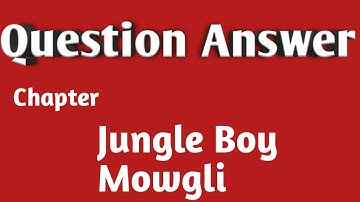 Question Answer Of Jungle Boy - Mowgli. Explained in Easy Language.