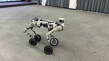 Unitree B2-W wheel leg robot performance testing