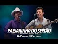 Di Paullo e Paulino - Passarinho Do Sertão - Ao Vivo em Goiânia - Di Paullo & Paulino