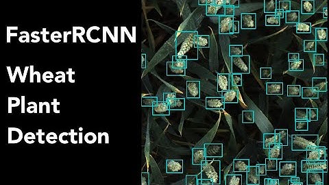 Kaggle - Minimal Global Wheat Detection