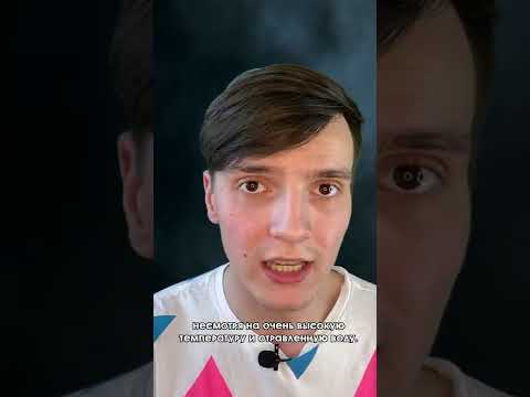 Акулы-мутанты уже в наших океанах...