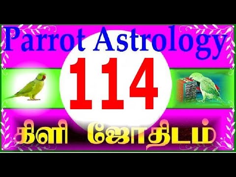 Parrot Astrology 114 கிளி ஜோதிடம் 114 - YouTube