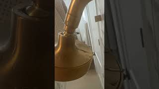 IMG 6650