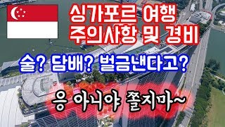 뭐? 싱가포르가면 벌금낸다고? 싱가포르 여행 주의사항 및 여행경비!