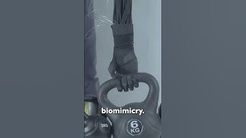 Clone Hen 16 Hand in Action