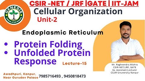 Protein Folding | Unfolded Protein Response | ER | L-15 | Cellular Organization | Unit-2