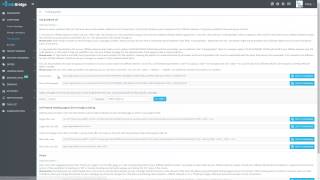 Conversions tracking: AdsBridge vs PeerFly