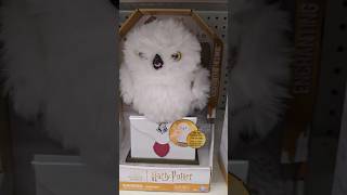 Lost Harry Potter Owl