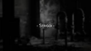 Strigoi - The Beginning Industrial