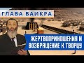 Жертвоприношения и возвращение к Творцу. Недельная глава Ваикра | Рав Цви Патлас