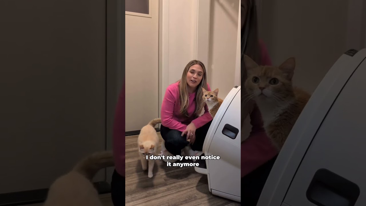 It’s really not that big