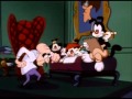 Animaniacs- Yakko, Wakko and Dot