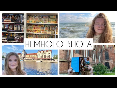 Калининград и Зеленоградск | книги, кофе, море