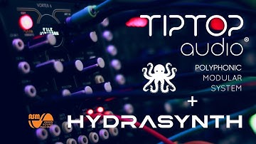 TipTop Polyphonic Modular + ASM Hydrasynth : "Entangled State" by gattobus