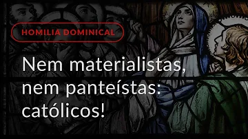 O que os Panteistas Divinizam?