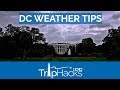 Washington DC Weather - What to Expect image