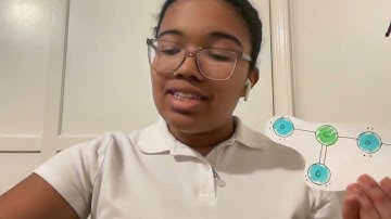 SAS Scholarship Video - Ocean Acidification