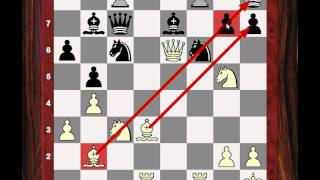 Winning Exchange: Instructive Chess Game: Winning the exchange (battle) but not winning the War!