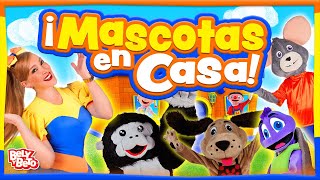 Mascotas en casa - Bely y Beto