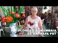 Flores e Samambaia de Garrafa pet | Vó Neide e suas pets