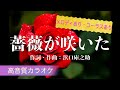 バラが咲いた(カラオケ・ガイドメロディあり・コーラスあり)マイク眞木