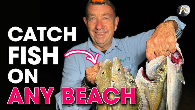 Beach Fishing Rigs ( 6 ) KILLER RIGS for Target Species 