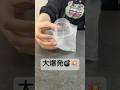炭酸スクイーズ作ったら悲劇が…🥲💥#スクイーズ #スライム #slime #asmr #satisfying #oddlysatisfying #実験