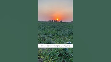 إِنَّ اللَّهَ وَمَلائِكَتَهُ يُصَلُّونَ عَلَى النَّبِيِّ | القارئ محمد الفقيه