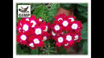 How to Add Frame to a Photo in GIMP