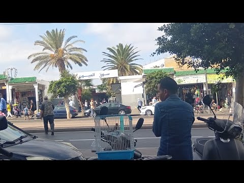 جول في سوق القريعة للطيور يوم الاحد 5 10 2025 أثمنة جميع طيور تحياتي للجميع فرجة ممتعة