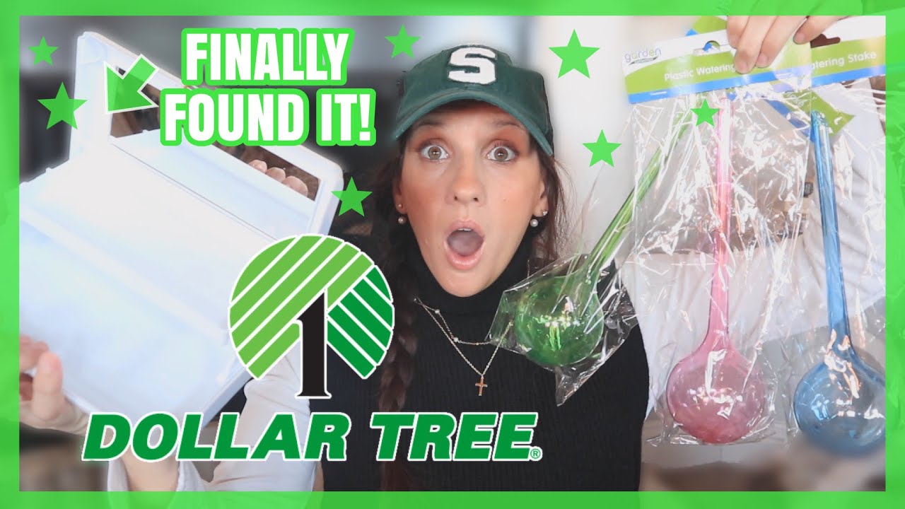 $100+ DOLLAR TREE HAUL | TRUCK LOAD OF NEW FINDS | (LOUIS VUITTON DUPES?!)