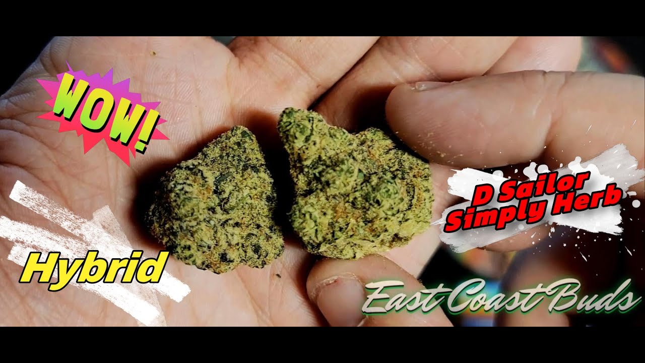 ⛵⛵ D Sailor: Sour Diesel x Chem D x OG Kush and OGKB from Simply Herb HYBRID STRAIN Review