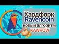 Хардфорк Ravencoin (RVN): майнинг и смена алгоритма KAWPOW [2020]. Перспективы майнинга