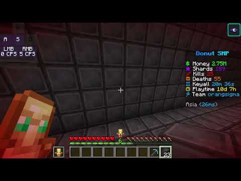 donut smp bug report - YouTube
