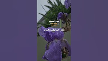 #اللهم_صل_وسلم_على_نبينا_محمد #يوم_الجمعة #جمعة_مباركة #الجمعة #يارب #اكسبلور #2025 #سورة_الكهف
