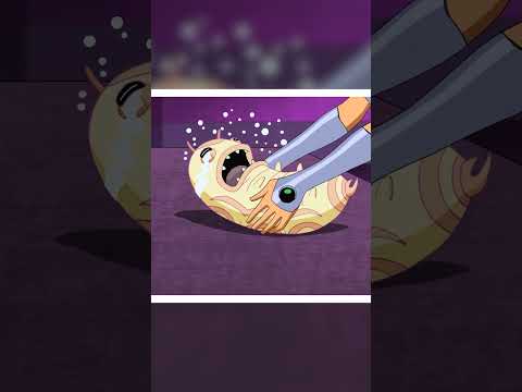 Starfire Adopts Silkie TeenTitans Shorts Dckids