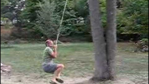 Twice Around The Tree