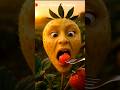 Feeding time that melts your stress#away 🍓#JannatulRingtone #ASMR #FoodieVibes #Feeding#Shorts #baby