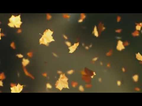 تلاوة خاشعة ولله غيب السماوات والأرض وإليه يرجع الأمر كله 