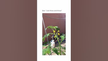 This is sick (via- i3i0li)