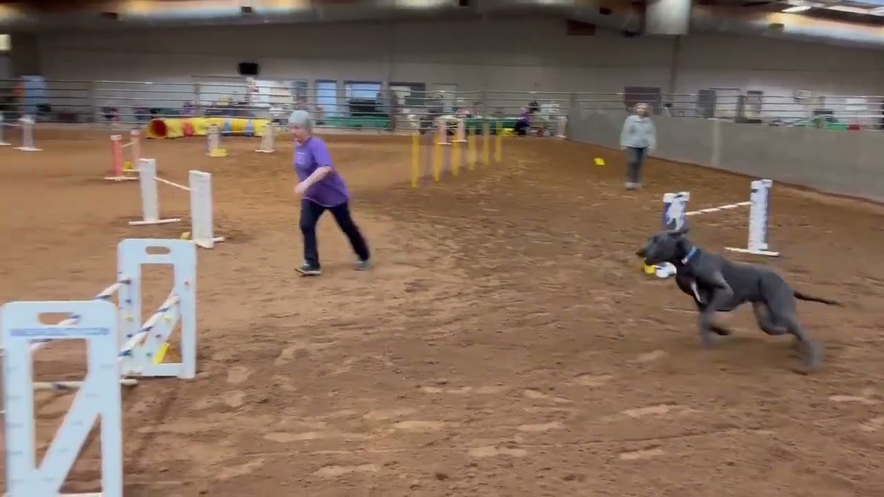 Fenix JWW Q of #20 QQ 1-1-2023     MACH (1)