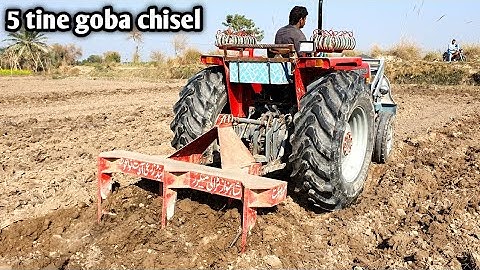 Mf 385 with 5 Tine Gobha chisel deep down Powerful performance 💪💪💪